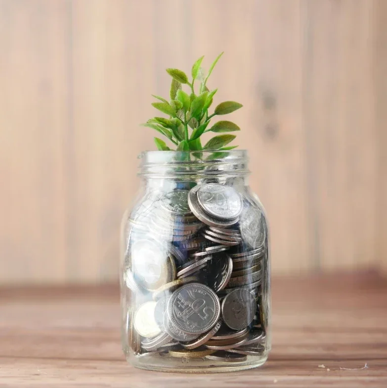 plant with coins