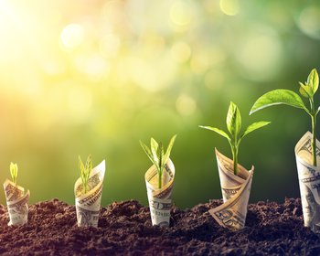 Hero_6 step investing guide